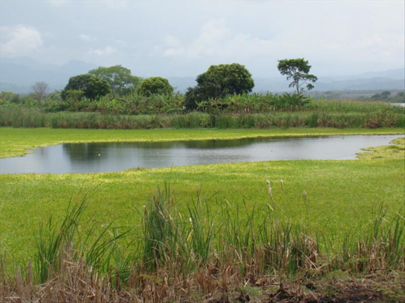 Lugar para Visitar